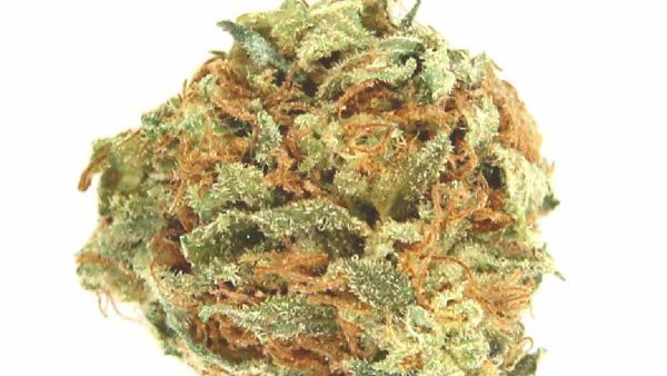 AK 47 Strain - Image 2