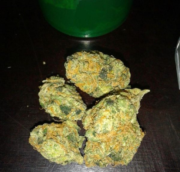 G-13 Haze Kush