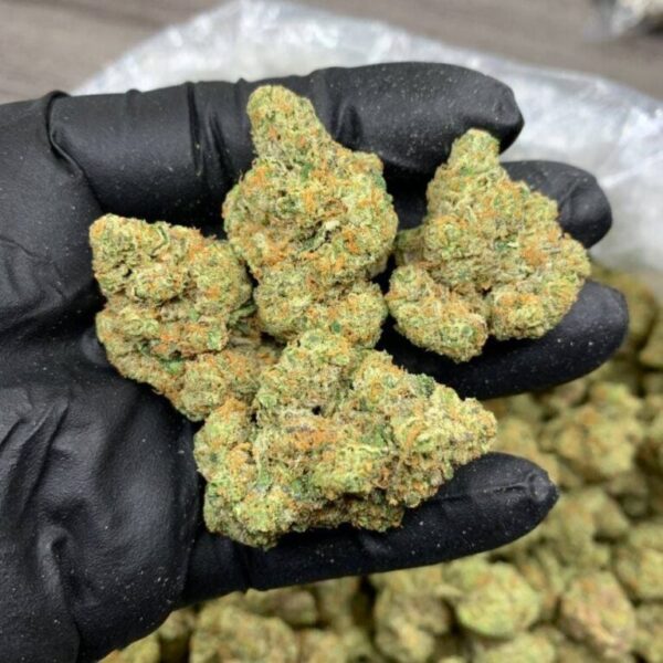 Green Crack