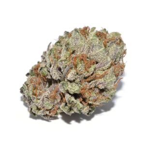 Hindu Kush